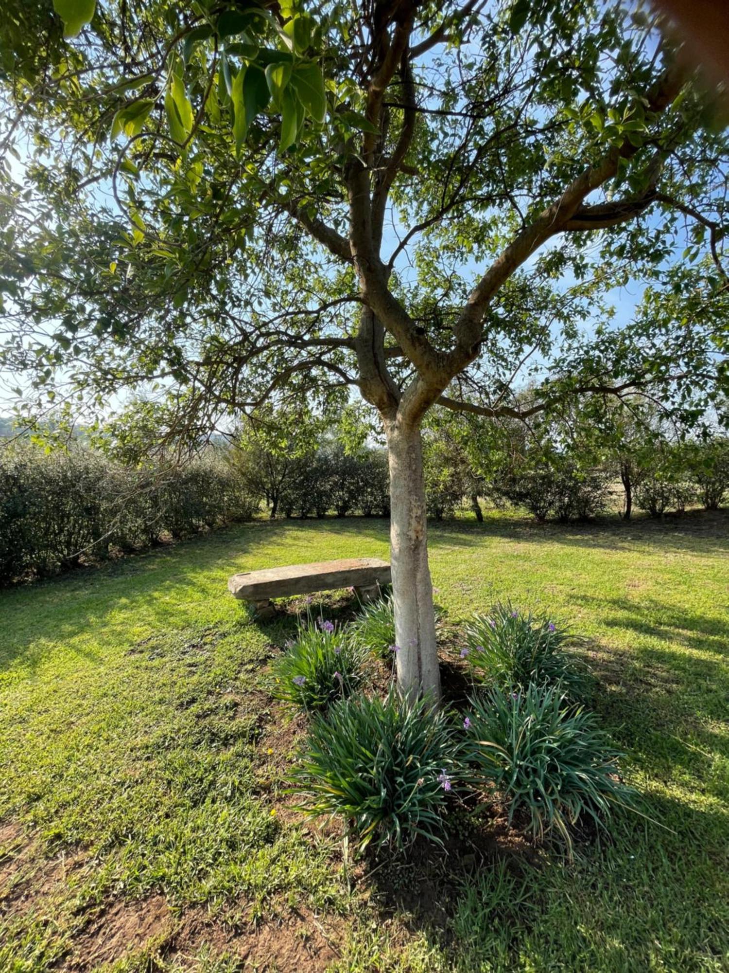 Tugela River Lodge Winterton Extérieur photo